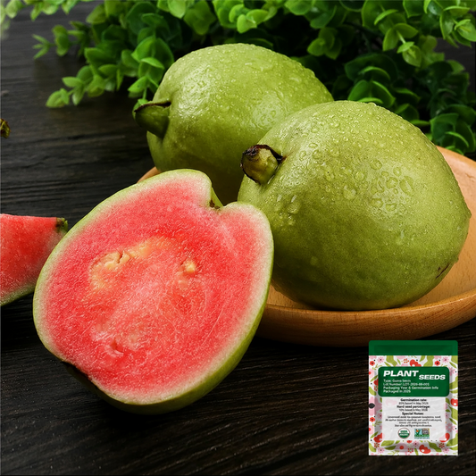 🔥Tropical Guava Growing Kit for Pots & Gardens