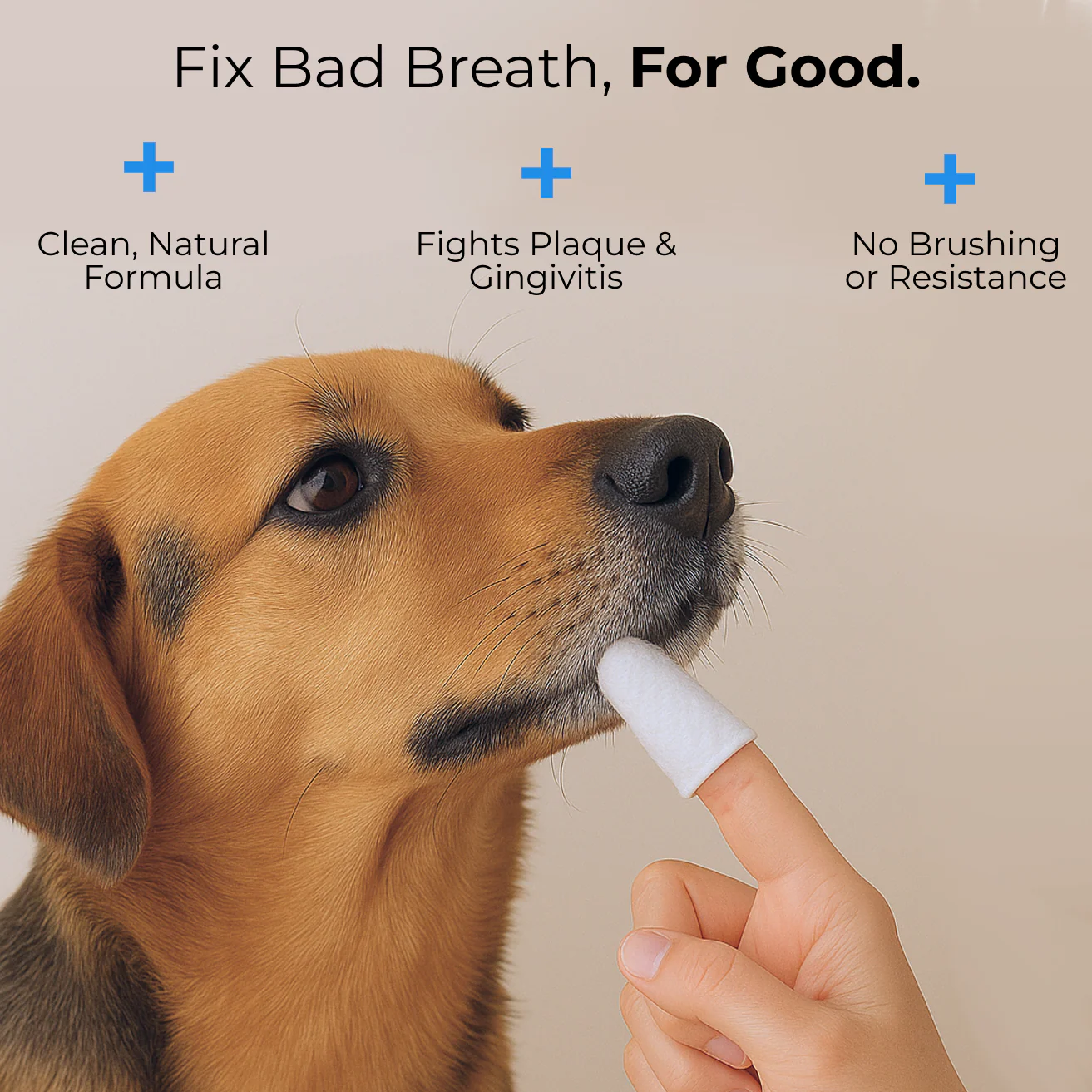 ✨Natural Pet Dental Finger Wipes🛡️
