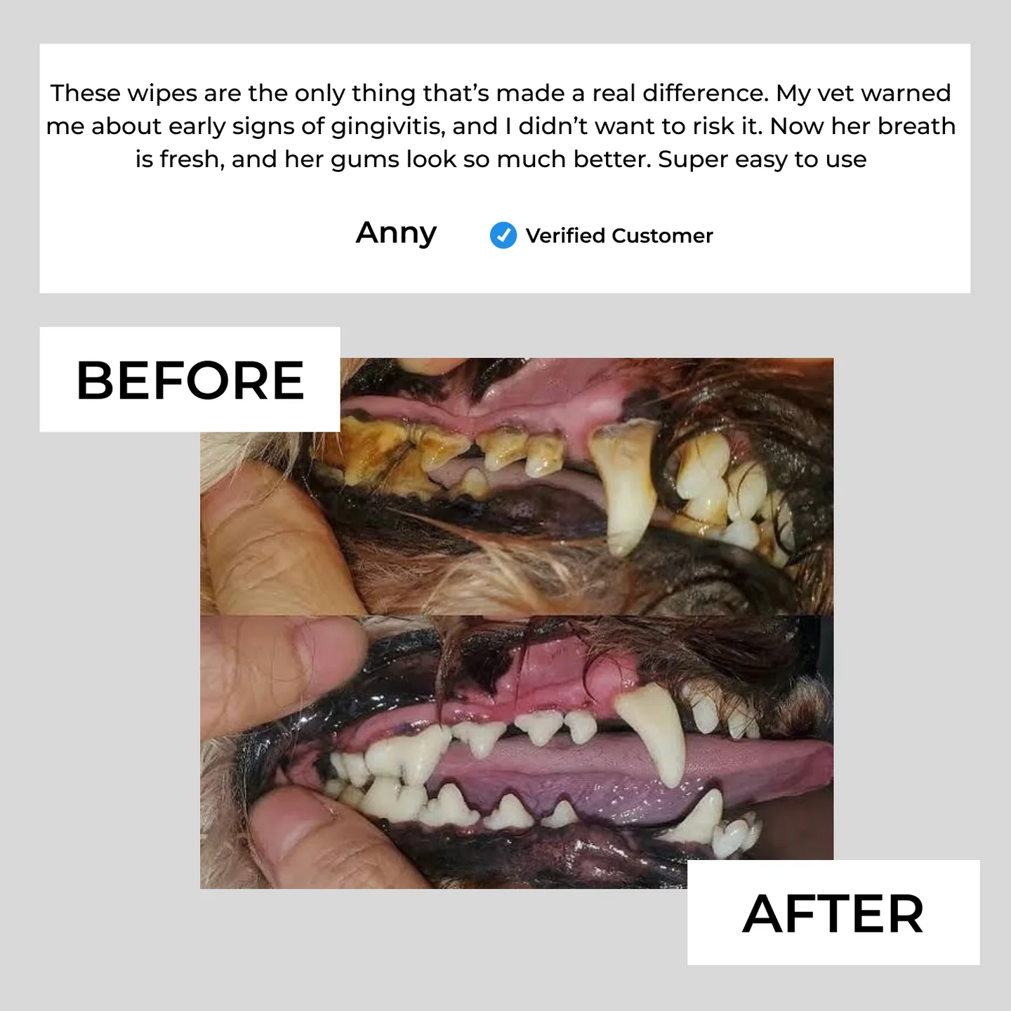 ✨Natural Pet Dental Finger Wipes🛡️
