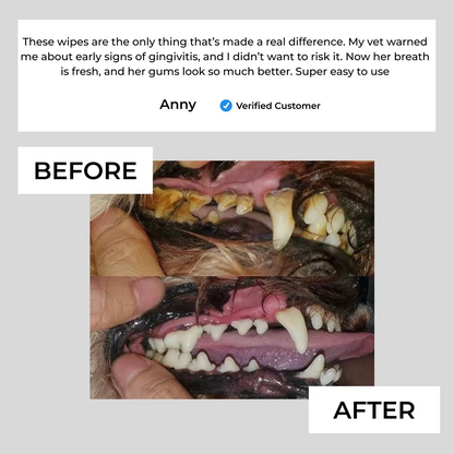 ✨Natural Pet Dental Finger Wipes🛡️