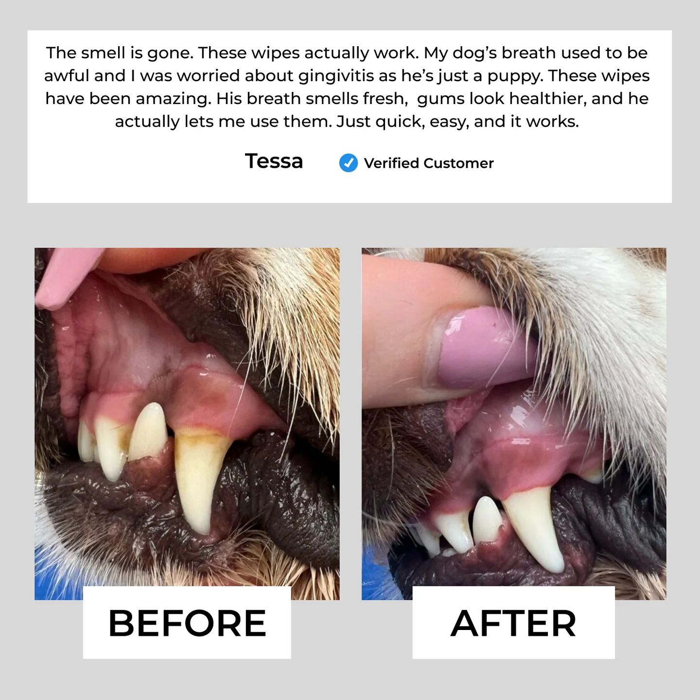 ✨Natural Pet Dental Finger Wipes🛡️