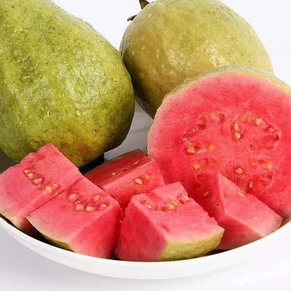 🔥Tropical Guava Growing Kit for Pots & Gardens