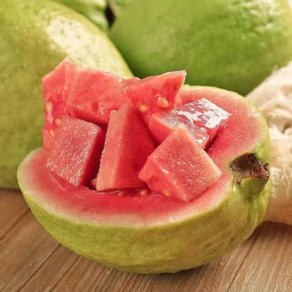 🔥Tropical Guava Growing Kit for Pots & Gardens